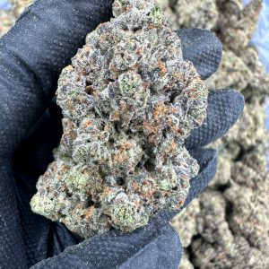 Georgia Pie THCA Flower (Exotic)