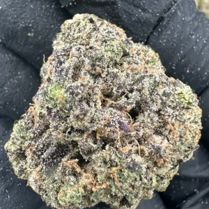 Cereal Milk THCA Flower (Premium)