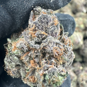 Watermelon Zkittlez THCA Flower (Exotic)