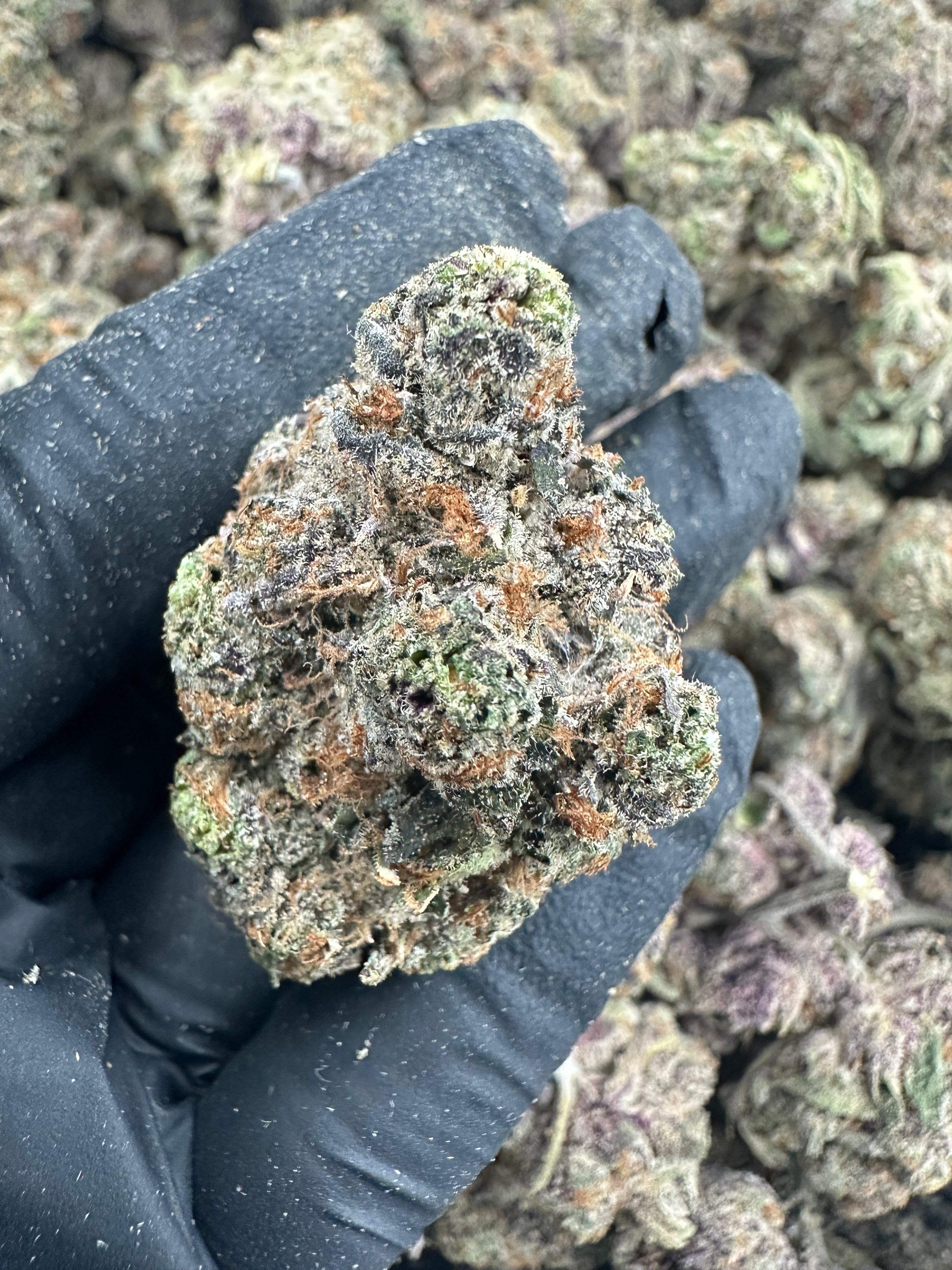 Watermelon Zkittlez THCA Flower (Exotic) - 图片 2