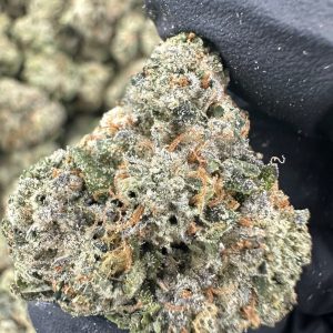Larry OG THCA Flower (Exotic)