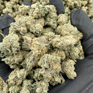 Georgia Pie THCA Flower (Budget)