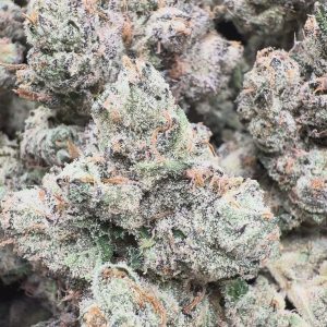 Elite Boutique Exotic Limon Berry - Bulk - Hybrid